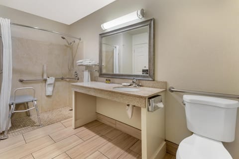Standard Room, 1 Queen Bed, Accessible, Non Smoking | Bathroom | Combined shower/tub, free toiletries, hair dryer, towels