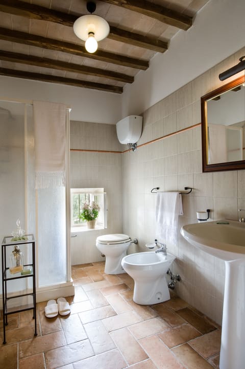 Shower, hair dryer, bidet, towels