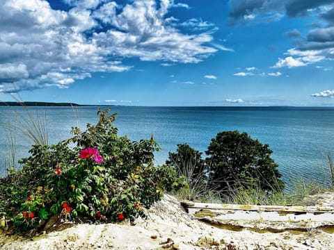 House | Water view