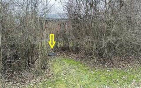 House | Miscellaneous