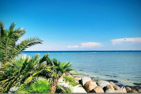 House | Water view