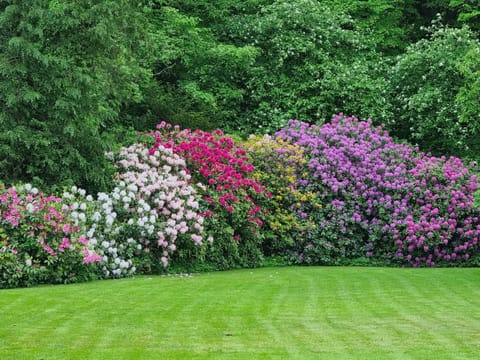 Apartment | Property grounds