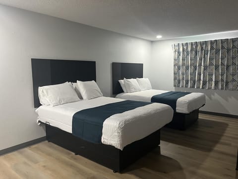 Iron/ironing board (on request), WiFi (free), bed sheets