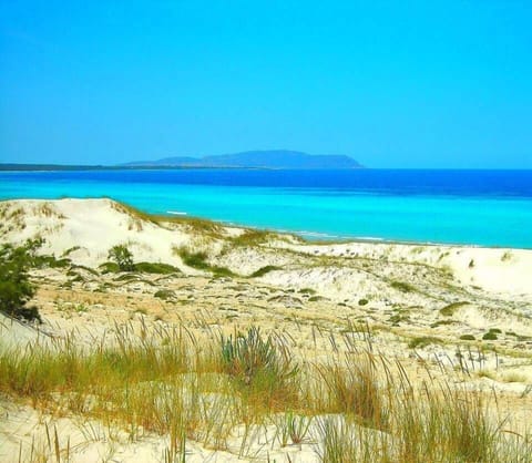 Beach nearby, white sand
