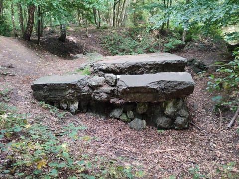 House | Property grounds