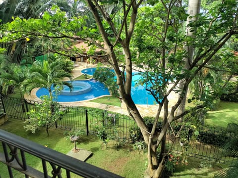 Pool and cold plunge jacuzzi