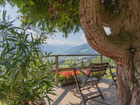 Tree, Property, Botany, Real Estate, House, Plant, Room, Furniture, Landscape, Vacation