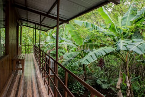 Room, 1 Bedroom, Smoking | Property grounds