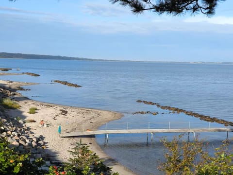 House | Water view