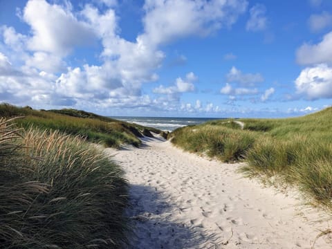 House | Beach | Fishing