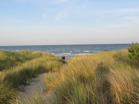 House | Beach
