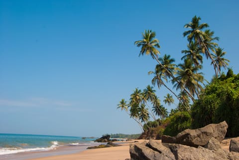House, 2 Bedrooms, Smoking, Terrace | View from property