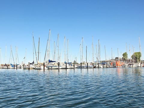 Apartment | Marina