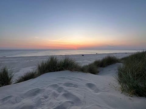House | Beach