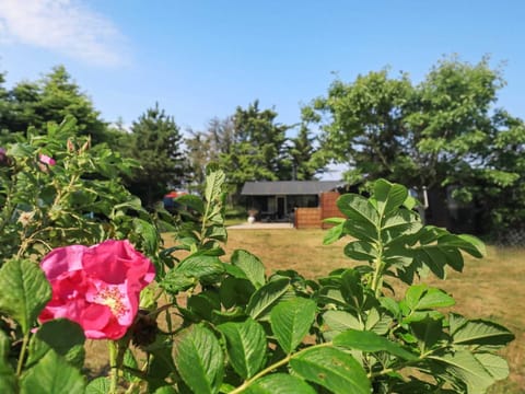 House | View from property