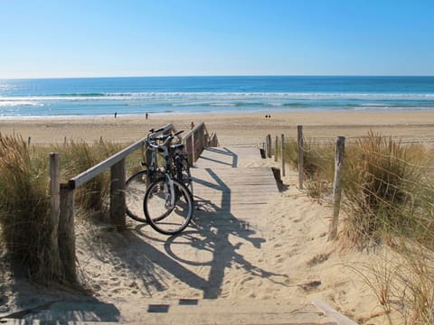 Water, Sky, Bicycle, Wheel, Plant, Bicycle Wheel, Azure, Beach