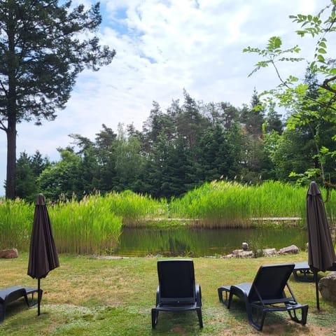 Outdoor pool, pool umbrellas, sun loungers