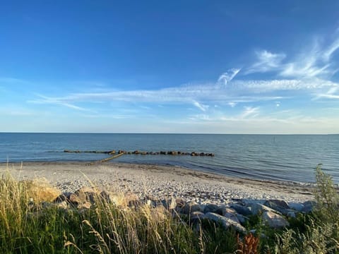 House | Water view