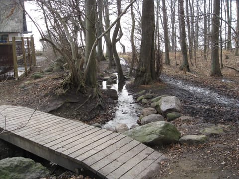 House | Property grounds