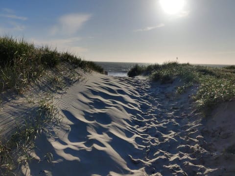 House | Beach
