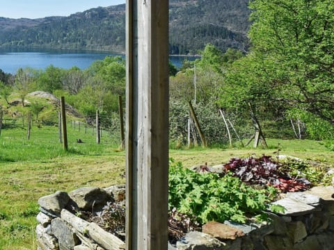 Lake view