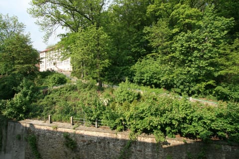 Land view from property