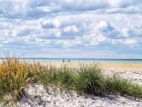 House | Beach