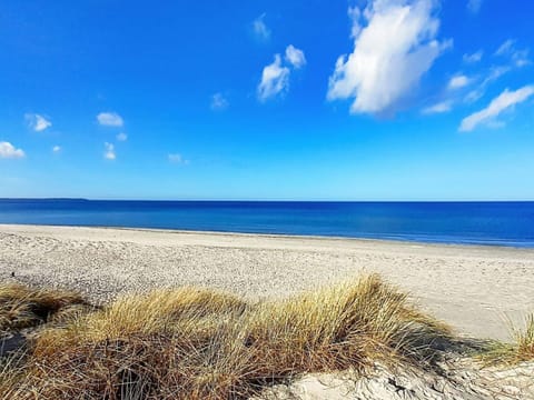 House | Beach