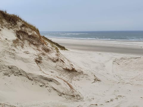House | Beach