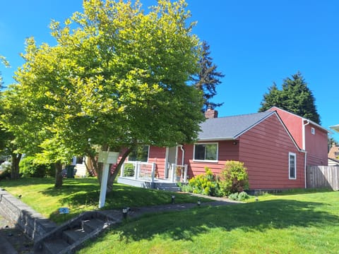 Magnolia trees in front of house