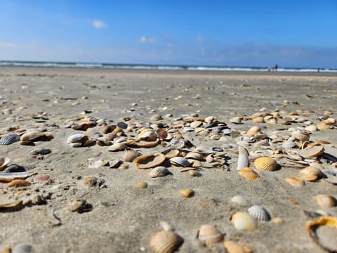 House | Beach