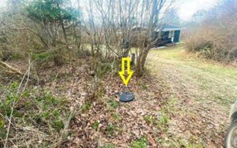 House | Property grounds