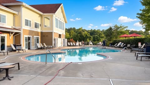 Outdoor Pool • Freeform Shape & Lounge Chairs