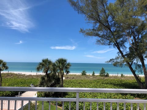View from patio/balcony