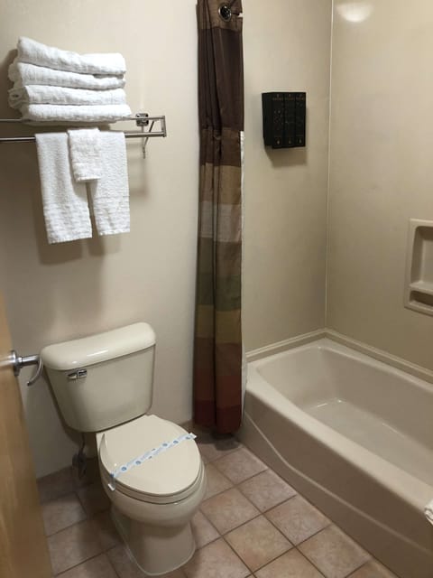 Combined shower/tub, free toiletries, hair dryer, towels
