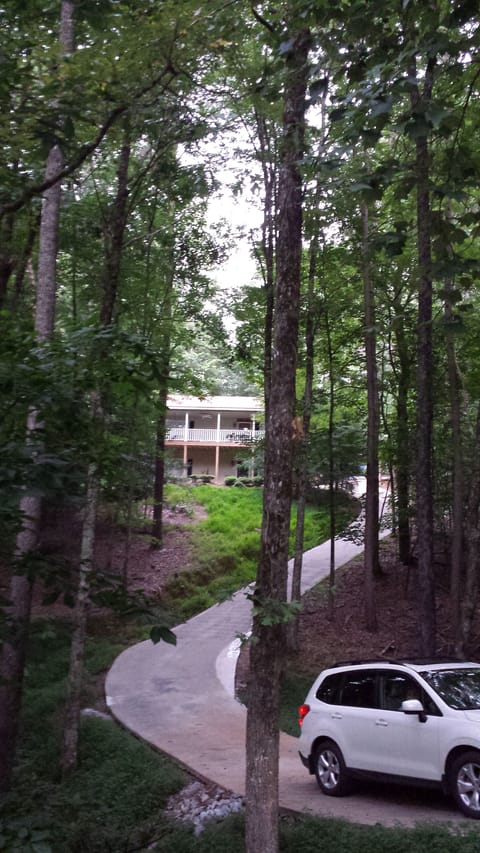 Total privacy at the Treehouse.