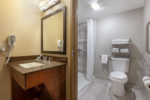 Standard Room, 1 King Bed, Accessible, Refrigerator | Bathroom | Combined shower/tub, eco-friendly toiletries, hair dryer, towels