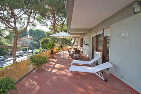 Balcony / Terrace / Patio