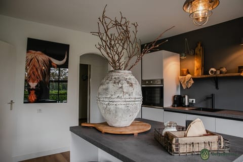 House | Private kitchen | Highchair
