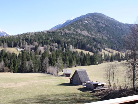 Apartment | View from property