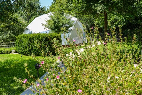 The dome is a greenhouse with koi pond & plants. plantings can change w/seasons.