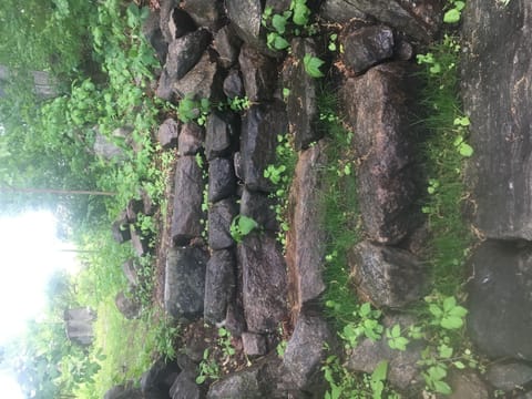 Rock steps down path to waterfront
