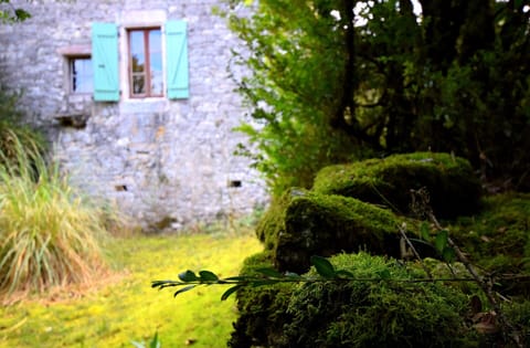 House | Garden