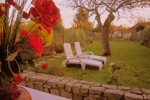 Cottage | Garden