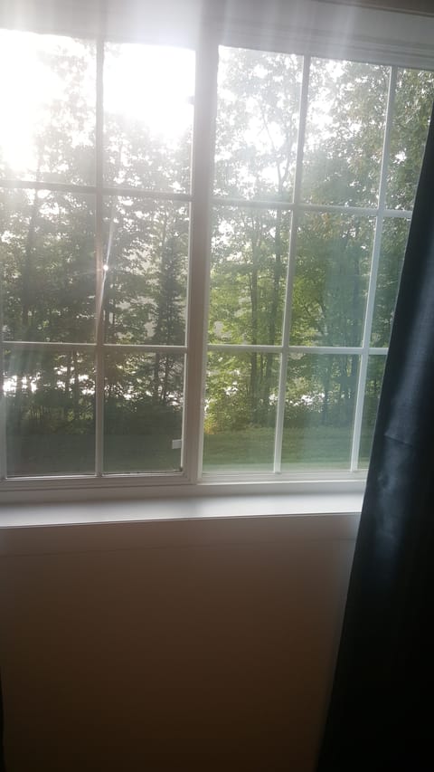 Overlooking the lake