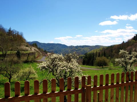 House | View from property