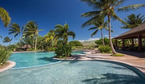 Take refreshing a dip, surrounded by swaying palm trees.