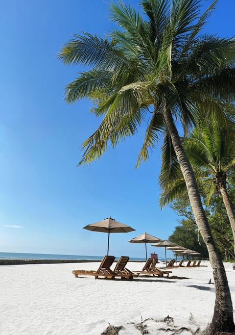 On the beach, free beach cabanas, sun loungers, beach towels