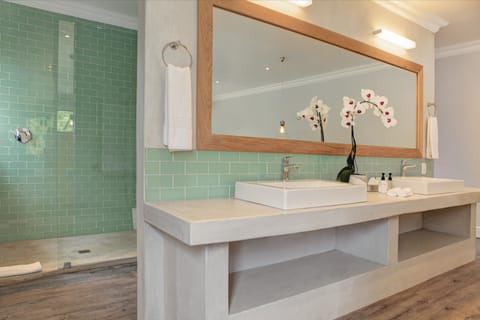 Shower, rainfall showerhead, free toiletries, hair dryer