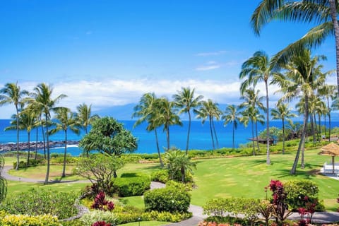  Wake to this tropical panorama: winding garden paths, waving palms, and the Pacific twinkling in the morning sun   